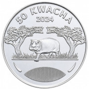 50 квача Бегемот (Малави, 2024 года)