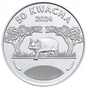 50 квача Бегемот (Малави, 2024 года)
