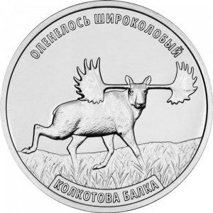 Оленелось широколобый (3 рубля, Приднестровье, 2026 года)